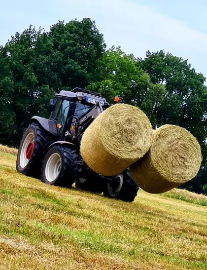 Bio-Heu in Rundballen