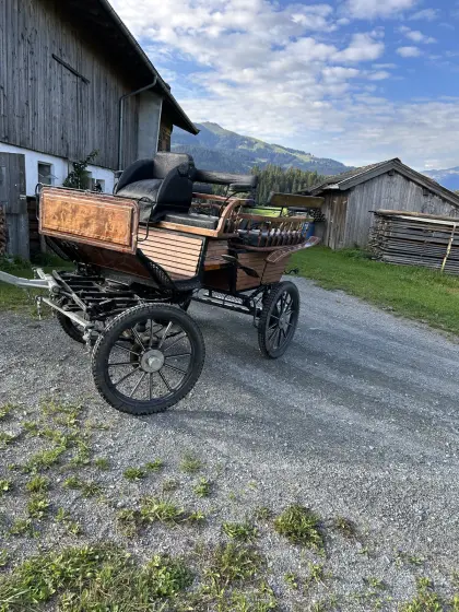 Pferdekutsche