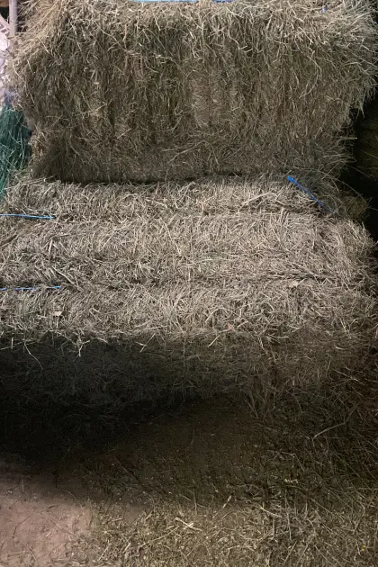 Kleinheuballen