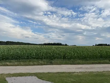 20.900 m² Ackerfläche, 6.700 m² Douglasienwald in Großgraben