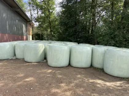 Maisballen Bio/konventionell