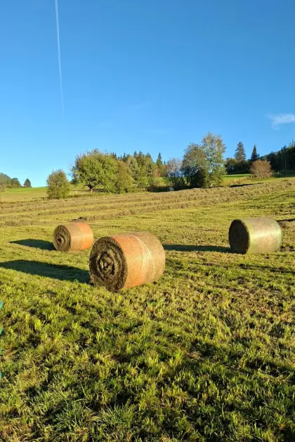 Heuballen 2. Schnitt 2026
