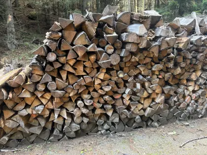 32 fm Fichten-Brennholz, gesamter Stapel