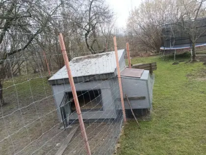 Hühnerstall