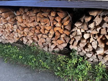 Brennholz