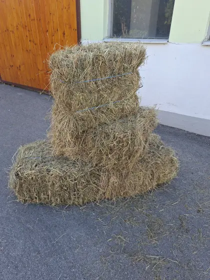 Heu in Kleinballen