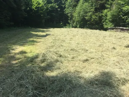 Heuballen