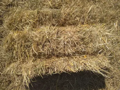 Heu Kleinballen von Biodiversitätsflächen