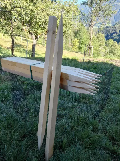 Zaunpfähle klein
