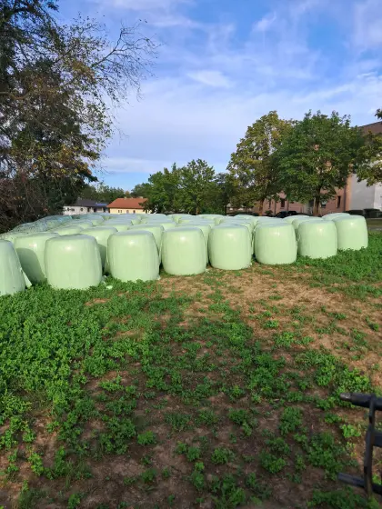 Maisballen