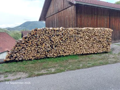 Brennholz 1 m lang