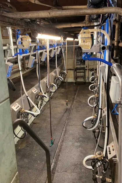 Melkstand Boumatic Doppel 6