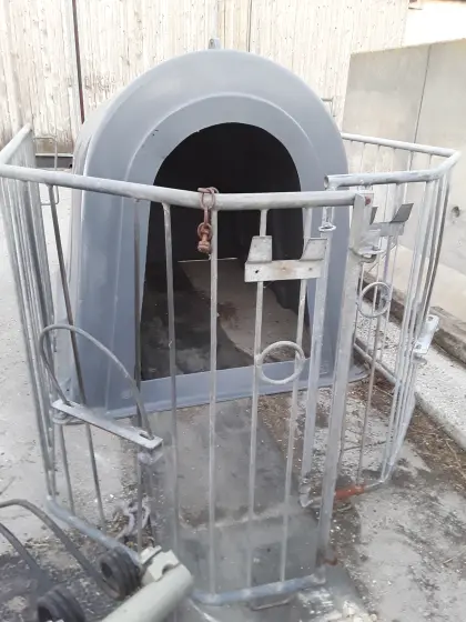5 Stk. Kälberiglu
