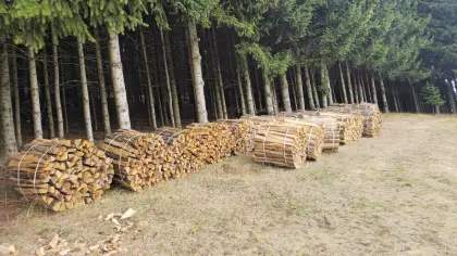 Verkaufe Brennholz
