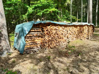 Brennholz