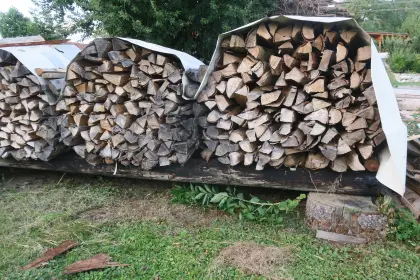 Buchenbrennholz