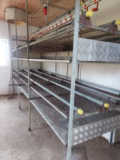 Hühner-Aufstallung