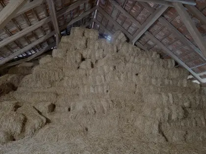 Ca. 2.000 kleine Strohballen, trocken gelagert