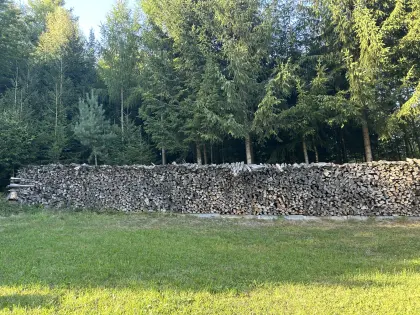 Brennholz gemischt Birke/Fichte
