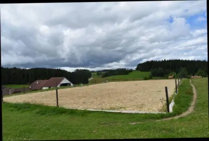 Vergebe Sommerweide für Stuten oder Wallache, Hengste