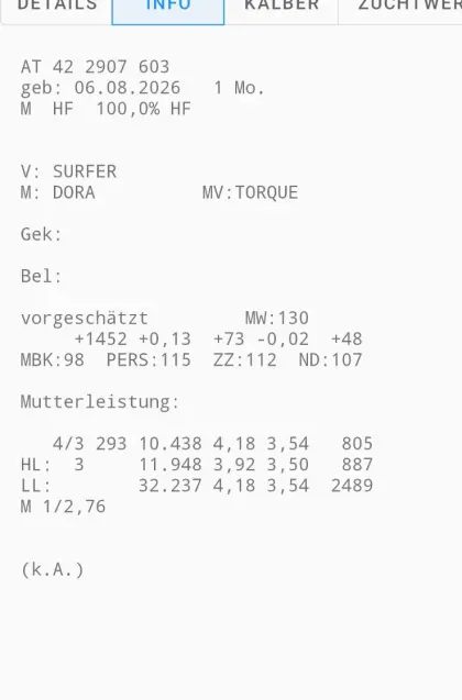 HF-Stierkalb