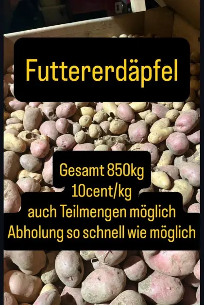 Futtererdäpfel