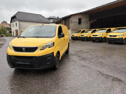 Peugeot Expert Dangel 4x4 (Tauschmotor)