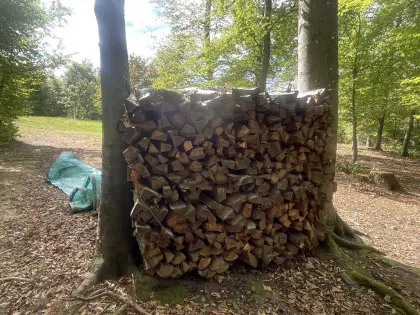 Brennholz Eiche