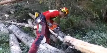 Forstarbeiten