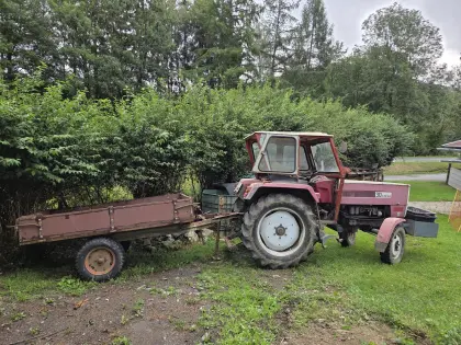 Steyr 30