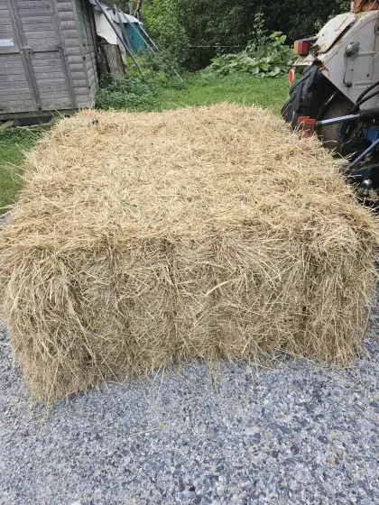 Heu in Quaderballen
