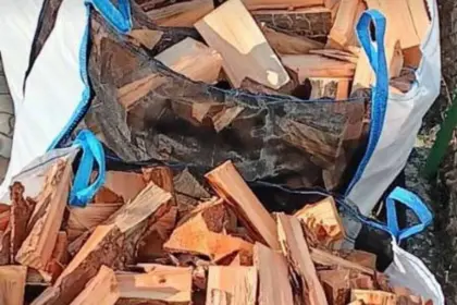 Holz