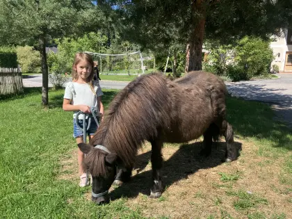 Perfektes Kinder- und Familienpony Toni (16) sucht Bestplatz