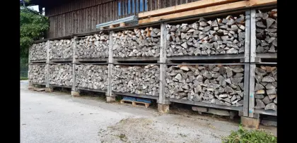 Brennholz