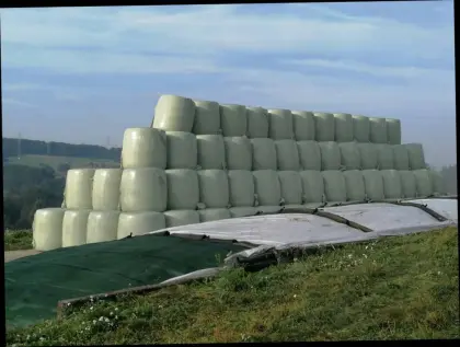 Silomaisballen, Maisballen