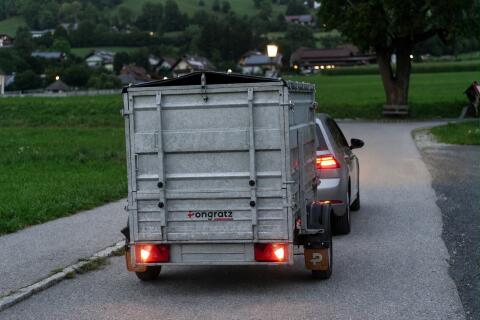 Pongratz Anhänger