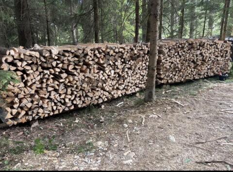 Brennholz