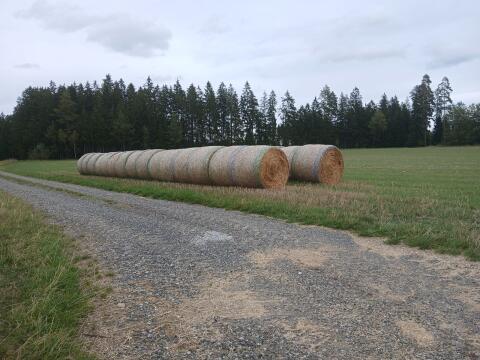 Triticale Stroh 1,60