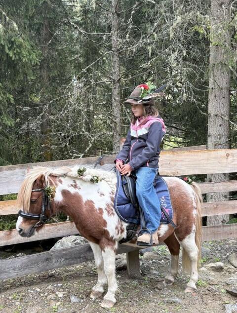 Pony-Stute