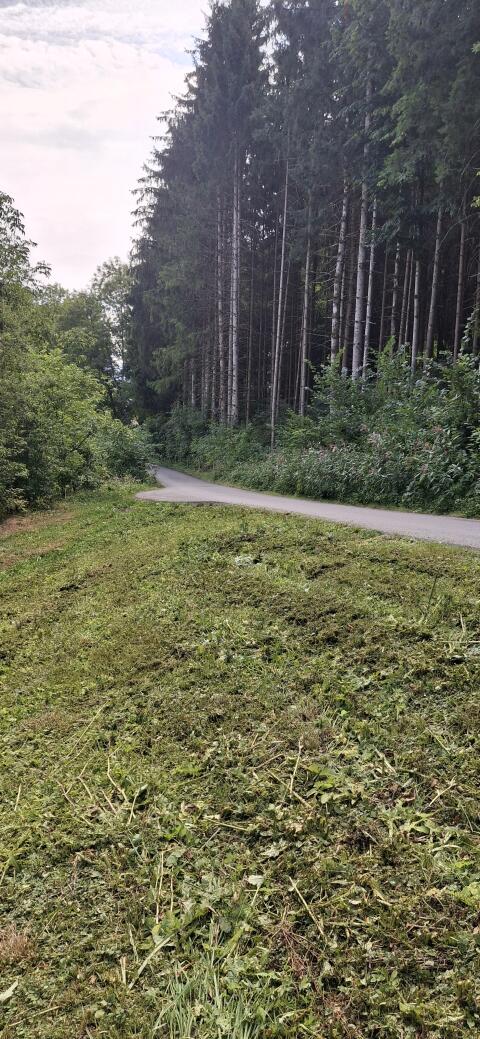 Mulcharbeiten, Mulchroboter, Mäharbeiten