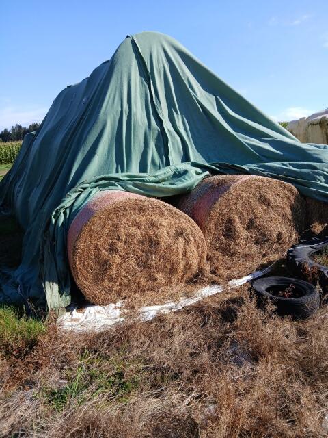 Heuballen zu verkaufen