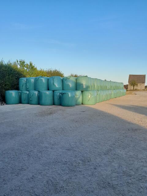 BIO-Maissilageballen