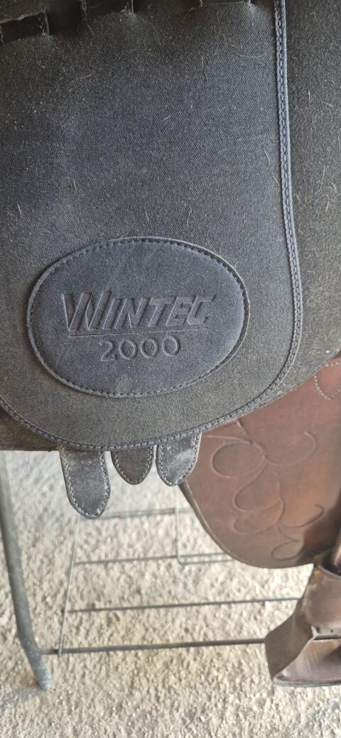 Wintec Sattel Winter 2000