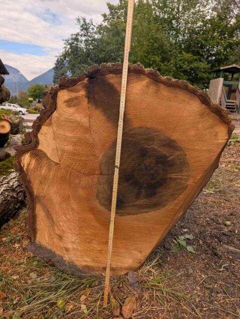 Nussbaumholz, Nussbaumstamm, Holz, Stammware, Walnuss massiv