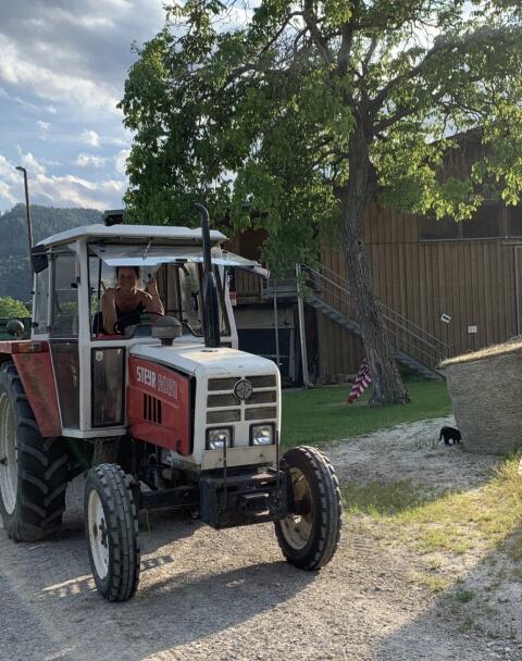 Steyr 8080
