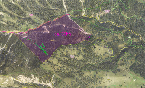 30 Hektar sehr gepflegter Wald in Kärnten zu verkaufen!