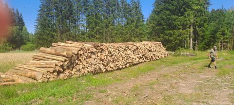 Brennholz