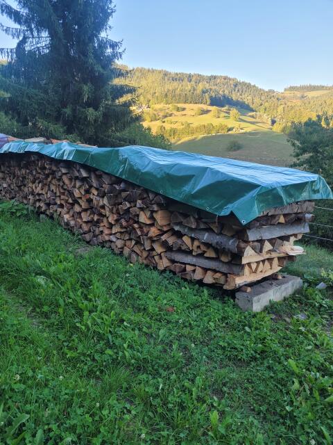Buchenbrennholz