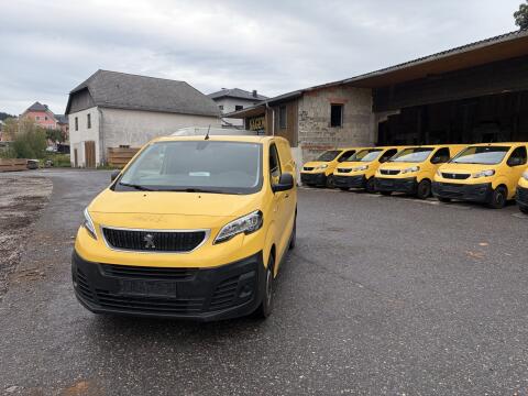 Peugeot Expert 4x4 (Neues Pickerl) Dangel