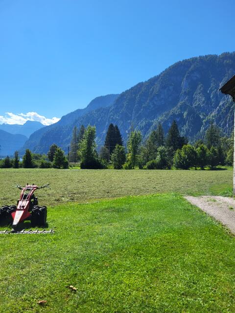 Vogel und Noot Jet Junior
